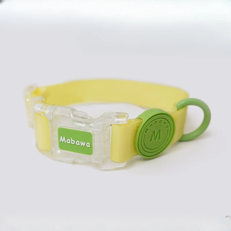 Collar Urban Neón – Impermeable y Ajustable para Perros con Estilo