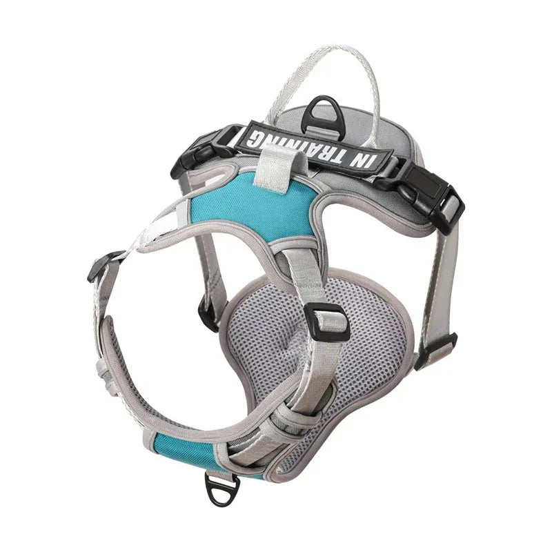 Pechera ergonomíca y reflectante con ajuste personalizado. Con nombre y teléfono personalizado. Cómodo, resistente y transpirable. Perfecto para perros pequeños, medianos o grandes.