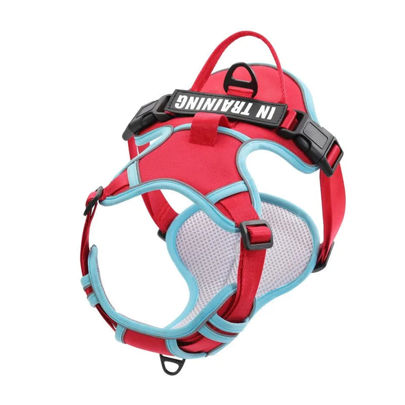 Pechera ergonomíca y reflectante con ajuste personalizado. Con nombre y teléfono personalizado. Cómodo, resistente y transpirable. Perfecto para perros pequeños, medianos o grandes.