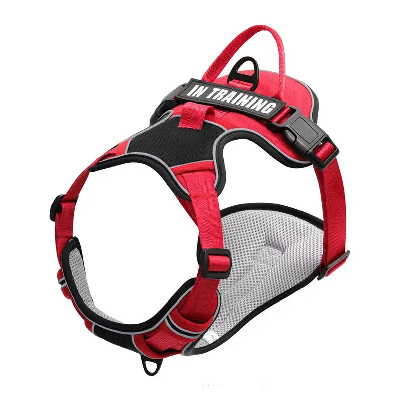 Pechera ergonomíca y reflectante con ajuste personalizado. Con nombre y teléfono personalizado. Cómodo, resistente y transpirable. Perfecto para perros pequeños, medianos o grandes.