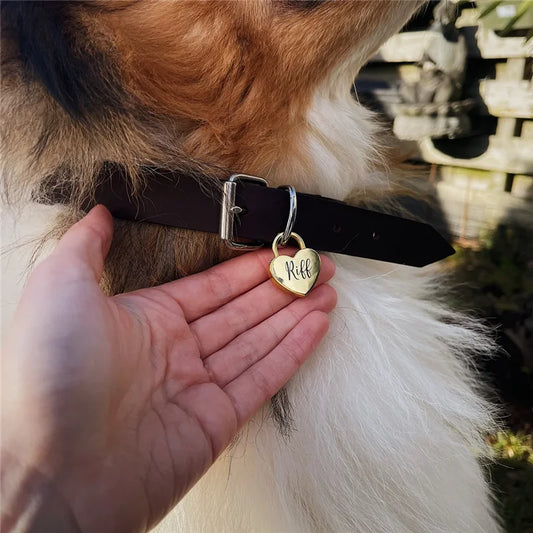 Placa Corazón con Doble Grabado – Estilo Candado Personalizado para Mascotas