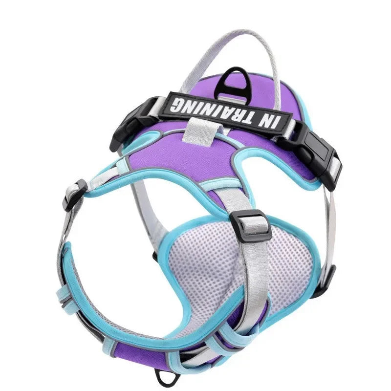 Pechera ergonomíca y reflectante con ajuste personalizado. Con nombre y teléfono personalizado. Cómodo, resistente y transpirable. Perfecto para perros pequeños, medianos o grandes.