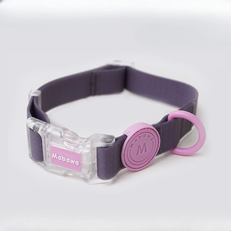 Collar Urban Neón – Impermeable y Ajustable para Perros con Estilo