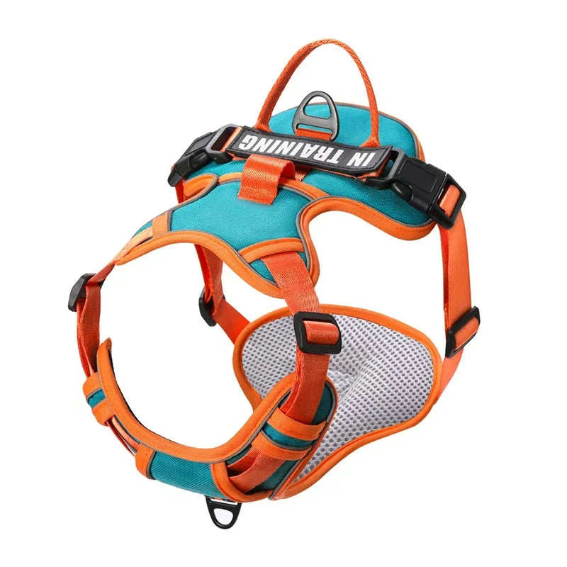 Pechera ergonomíca y reflectante con ajuste personalizado. Con nombre y teléfono personalizado. Cómodo, resistente y transpirable. Perfecto para perros pequeños, medianos o grandes.