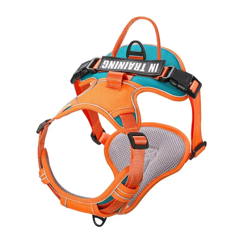Pechera ergonomíca y reflectante con ajuste personalizado. Con nombre y teléfono personalizado. Cómodo, resistente y transpirable. Perfecto para perros pequeños, medianos o grandes.