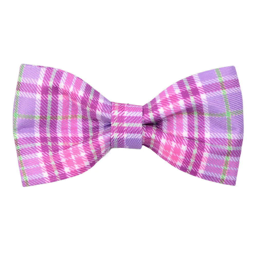 Pack de Lazos con Estampados para Mascotas – Estilo Colorido en Presentaciones de 50 y 100 Piezas