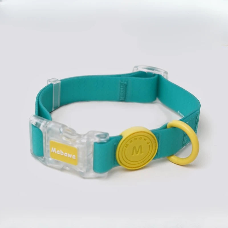 Collar Urban Neón – Impermeable y Ajustable para Perros con Estilo