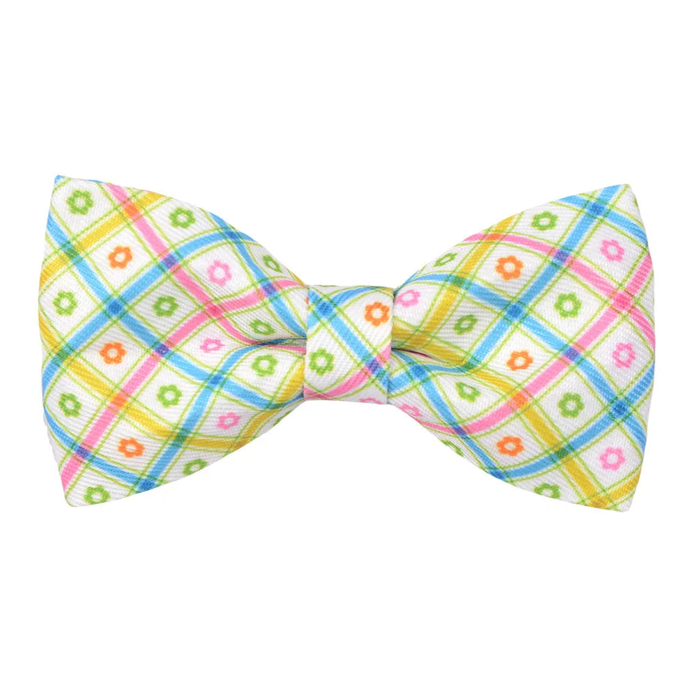 Pack de Lazos con Estampados para Mascotas – Estilo Colorido en Presentaciones de 50 y 100 Piezas