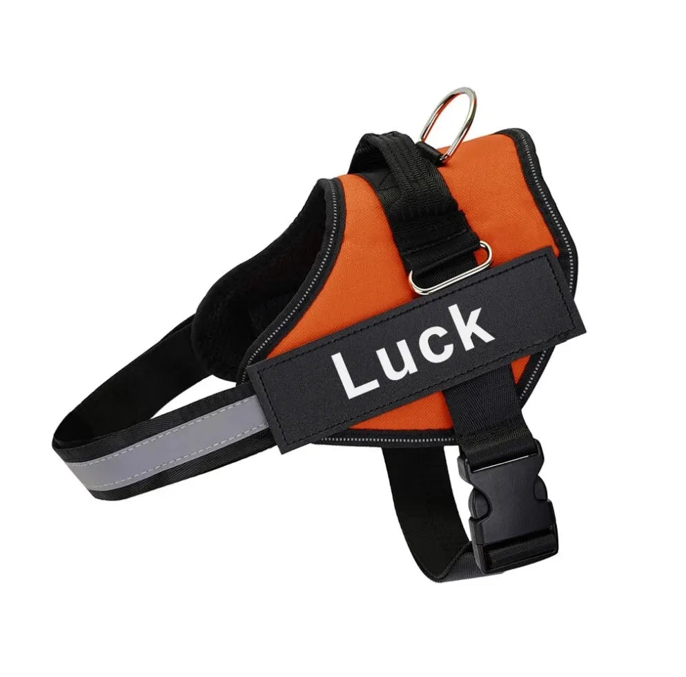 Pechera Deportiva Reflectante con Velcro Personalizado – Ajustable y Transpirable para Paseos Seguros