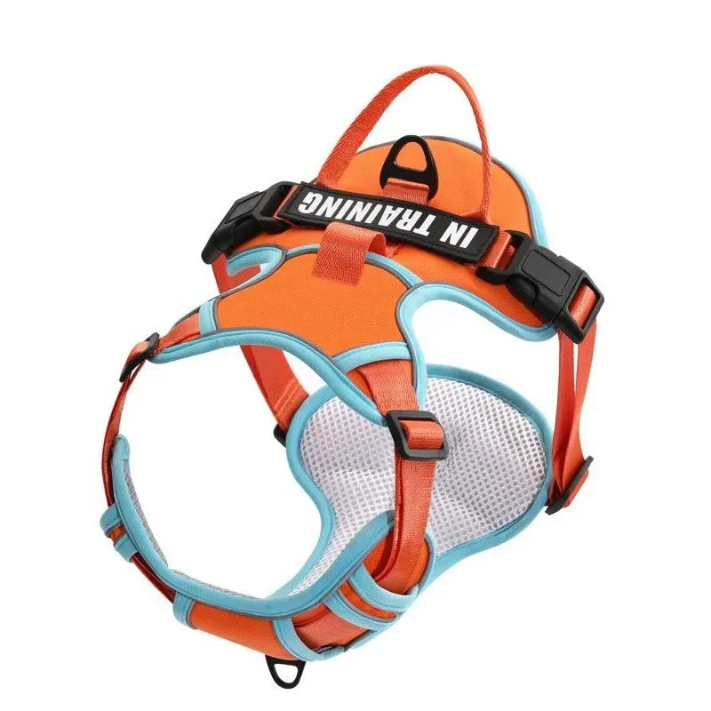 Pechera ergonomíca y reflectante con ajuste personalizado. Con nombre y teléfono personalizado. Cómodo, resistente y transpirable. Perfecto para perros pequeños, medianos o grandes.