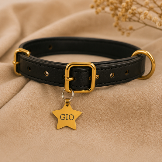 Placa Estrella Personalizada  – Grabado de Alta Calidad para Mascotas