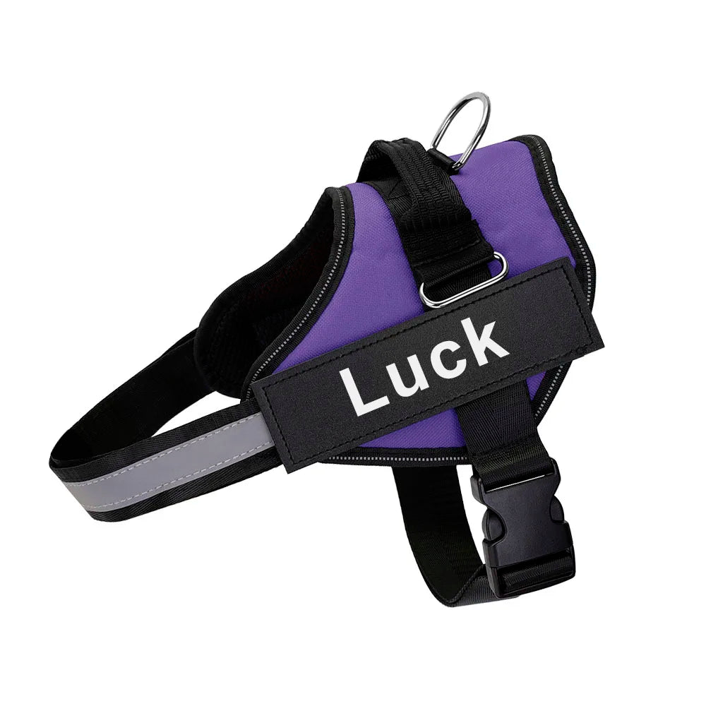 Pechera Deportiva Reflectante con Velcro Personalizado – Ajustable y Transpirable para Paseos Seguros