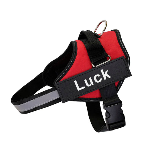 Pechera Deportiva Reflectante con Velcro Personalizado – Ajustable y Transpirable para Paseos Seguros