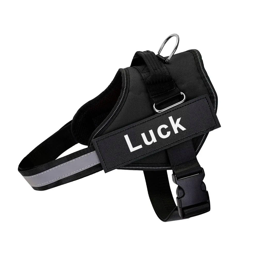 Pechera Deportiva Reflectante con Velcro Personalizado – Ajustable y Transpirable para Paseos Seguros