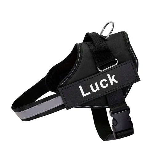 Pechera Deportiva Reflectante con Velcro Personalizado – Ajustable y Transpirable para Paseos Seguros