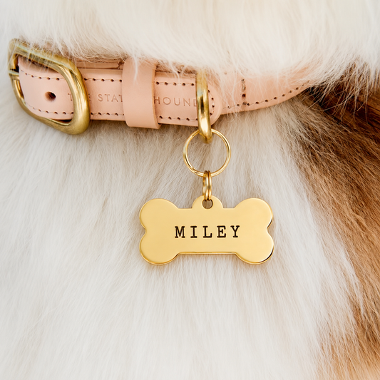Placa de Hueso Personalizada – Grabado Antipérdida en Acero Inoxidable