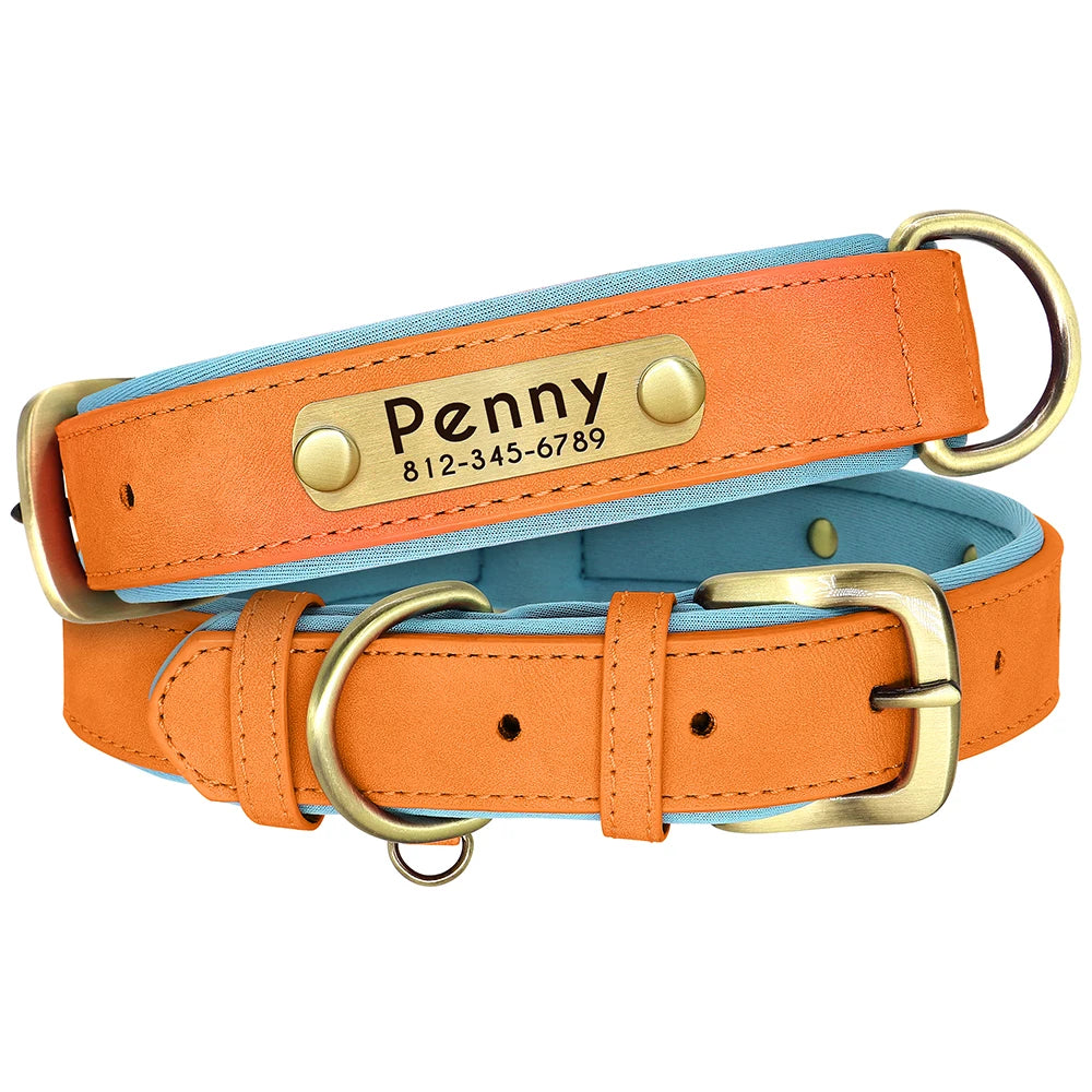 Collar Personalizado de Cuero PU Acolchado – Con Placa Grabada para Mascotas Pequeñas y Medianas