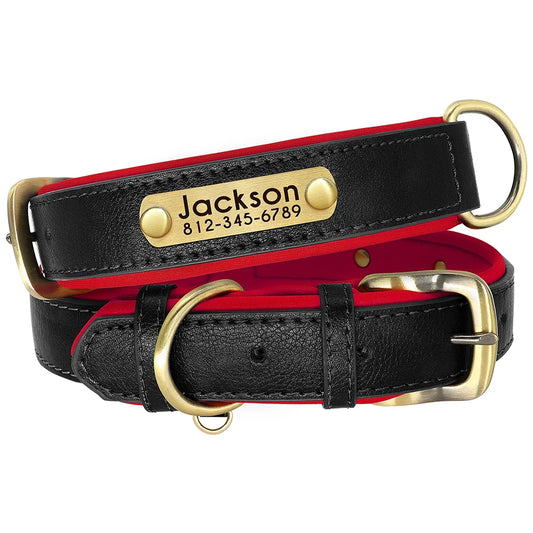 Collar Personalizado de Cuero PU Acolchado – Con Placa Grabada para Mascotas Pequeñas y Medianas