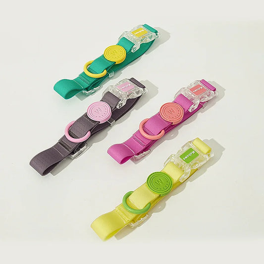 Collar Urban Neón – Impermeable y Ajustable para Perros con Estilo