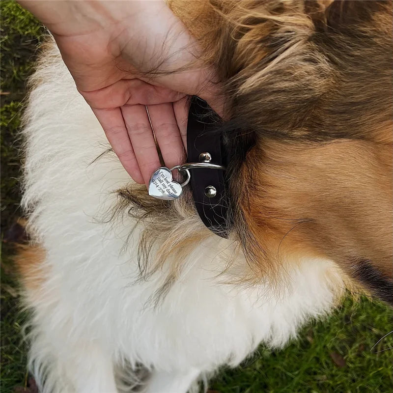 Placa Corazón con Doble Grabado – Estilo Candado Personalizado para Mascotas