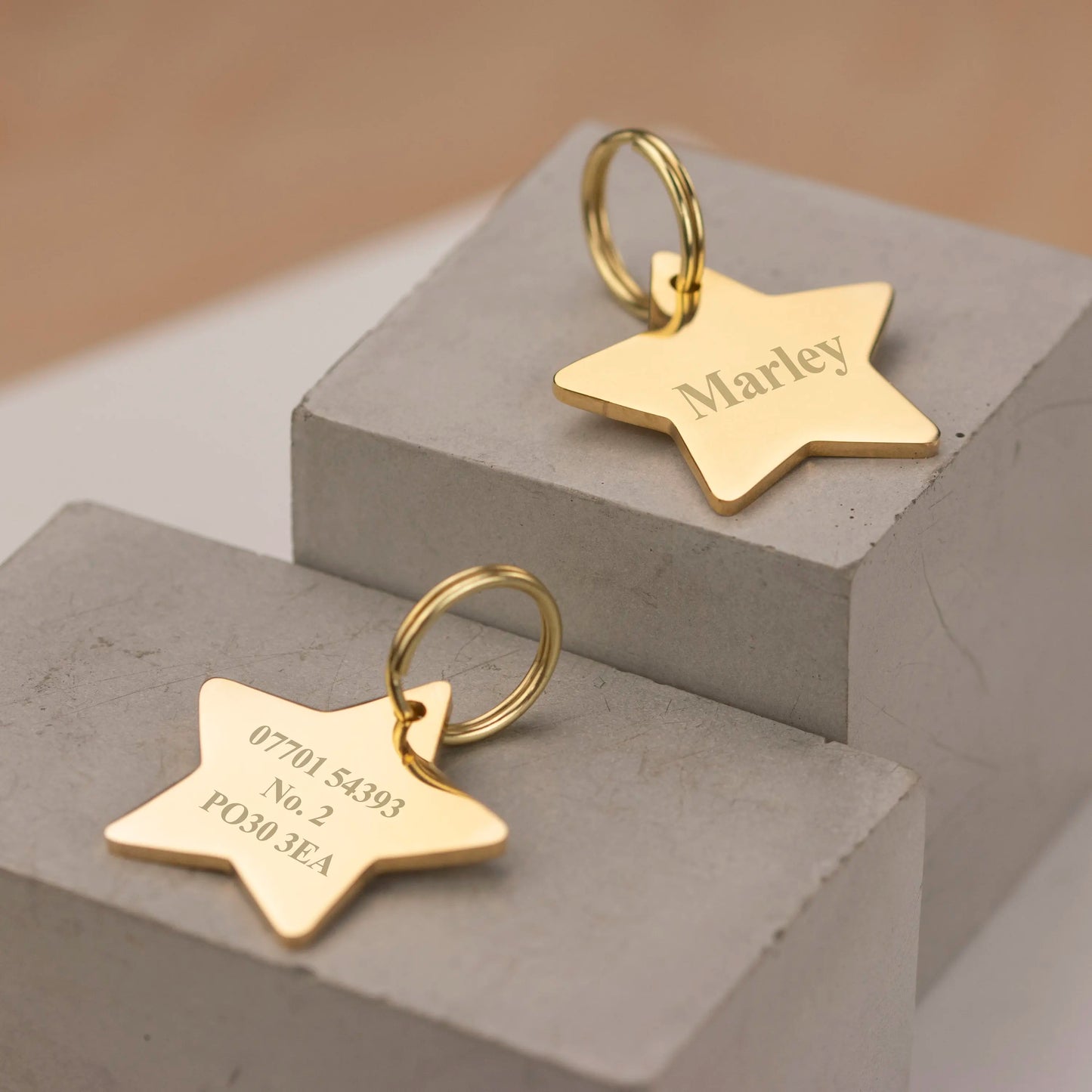 Placa Estrella Personalizada Dorada – Grabado de Alta Calidad para Mascotas
