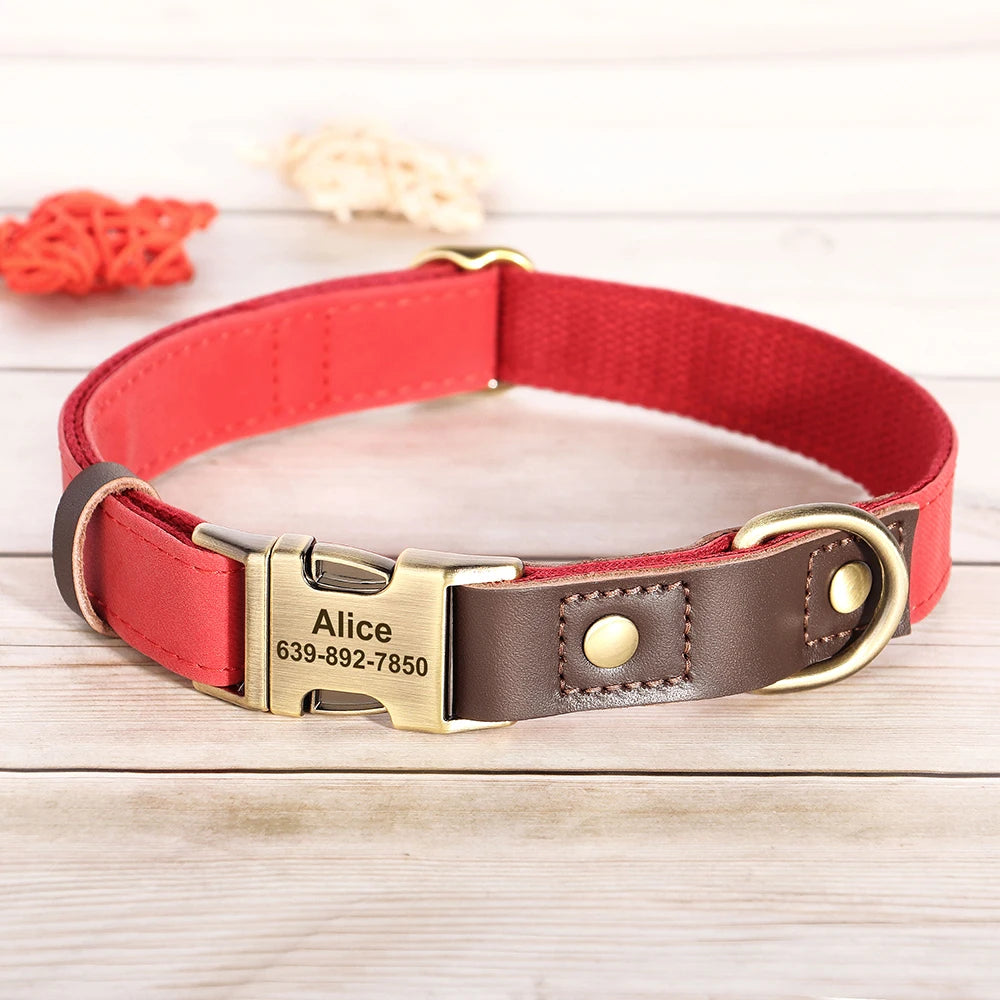 Correa y Collar Personalizados Resistentes – Set de Paseo para Perros Medianos y Pequeños