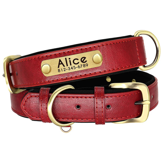 Collar Personalizado de Cuero PU Acolchado – Con Placa Grabada para Mascotas Pequeñas y Medianas
