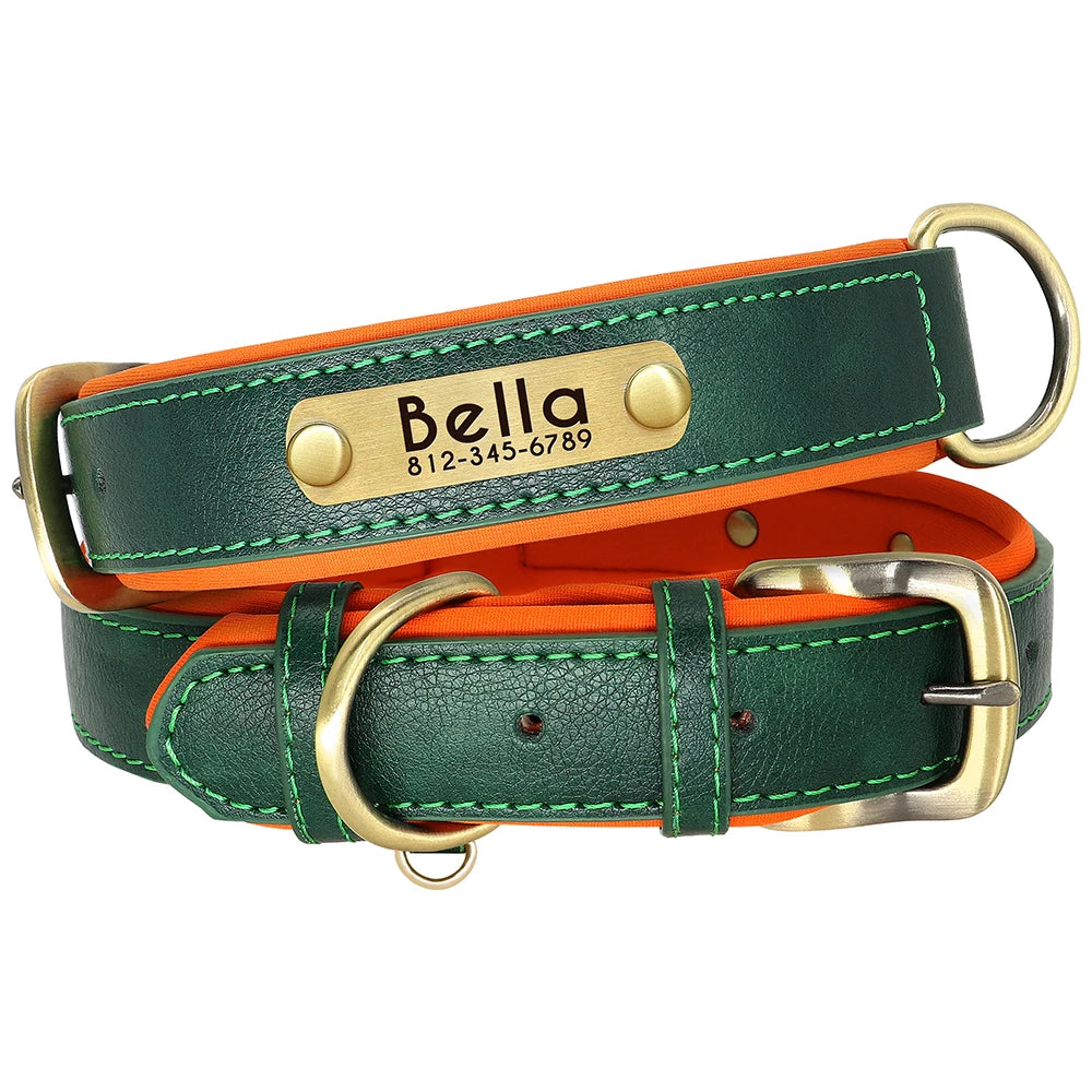 Collar Personalizado de Cuero PU Acolchado – Con Placa Grabada para Mascotas Pequeñas y Medianas