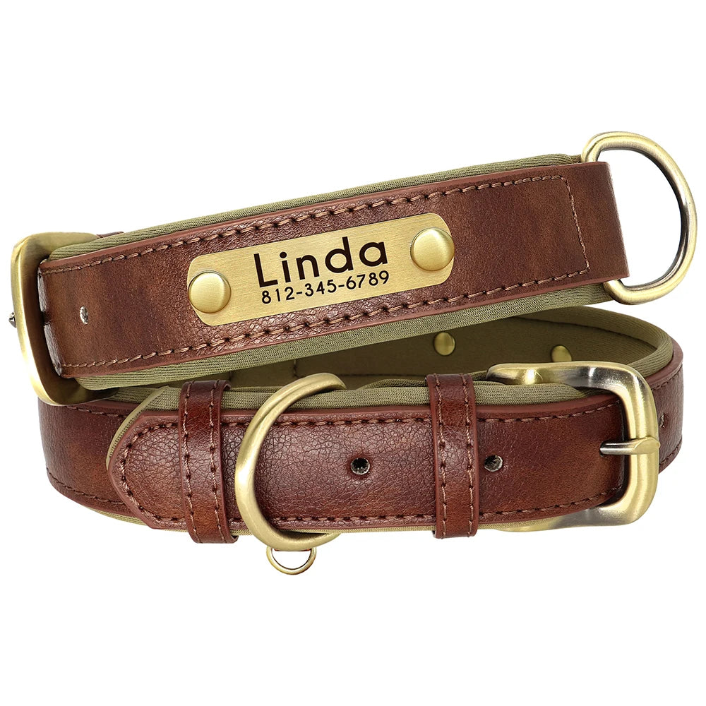 Collar Personalizado de Cuero PU Acolchado – Con Placa Grabada para Mascotas Pequeñas y Medianas