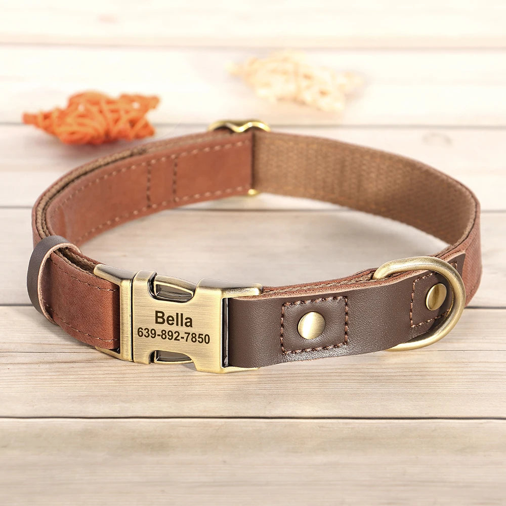 Correa y Collar Personalizados Resistentes – Set de Paseo para Perros Medianos y Pequeños
