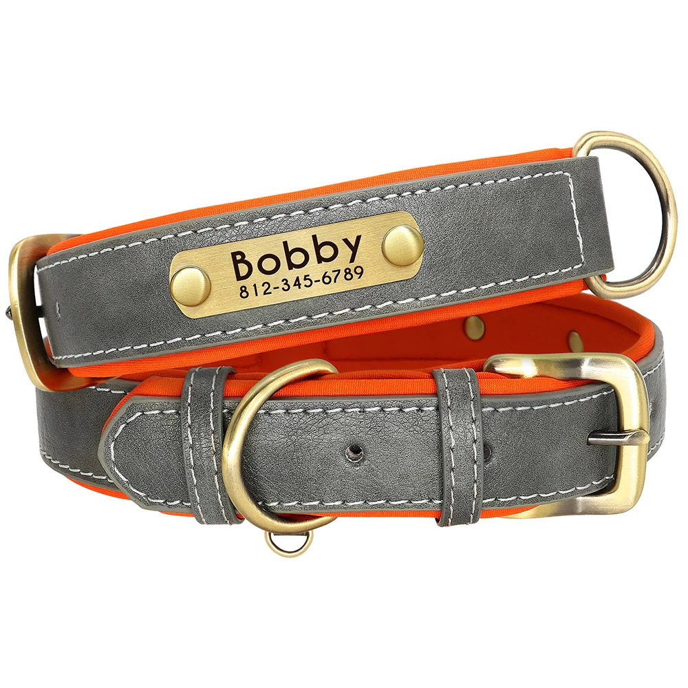 Collar Personalizado de Cuero PU Acolchado – Con Placa Grabada para Mascotas Pequeñas y Medianas