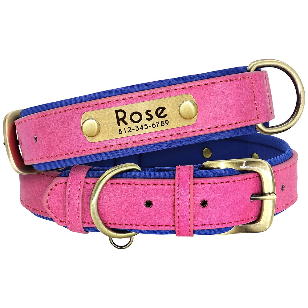 Collar Personalizado de Cuero PU Acolchado – Con Placa Grabada para Mascotas Pequeñas y Medianas