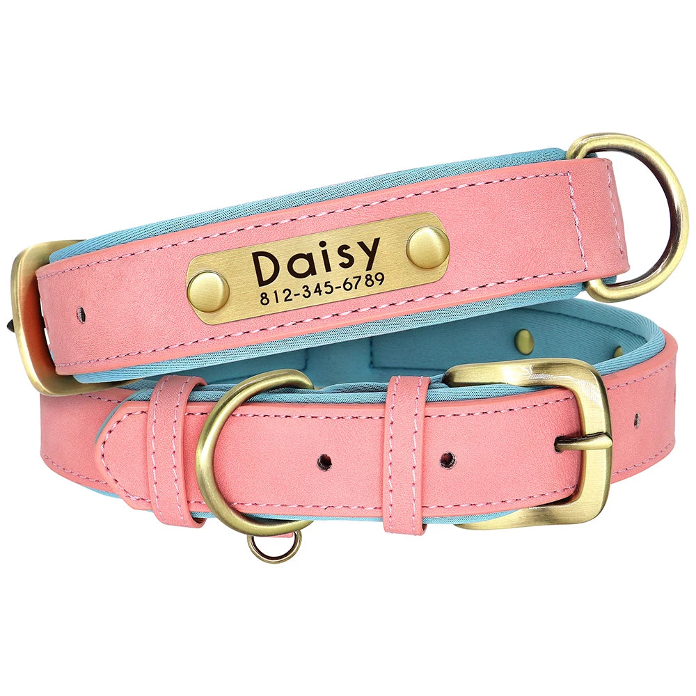 Collar Personalizado de Cuero PU Acolchado – Con Placa Grabada para Mascotas Pequeñas y Medianas